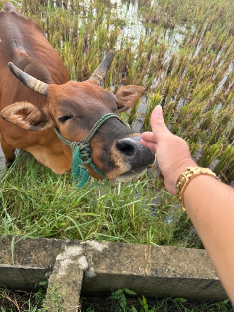 Sản phẩm chắc chắn,hàng nguyên đai nguyên kiện do Trung Quốc sản xuất vẫn cái tầm hơn hẳn vn,rất hài lòng cảm ơn shop