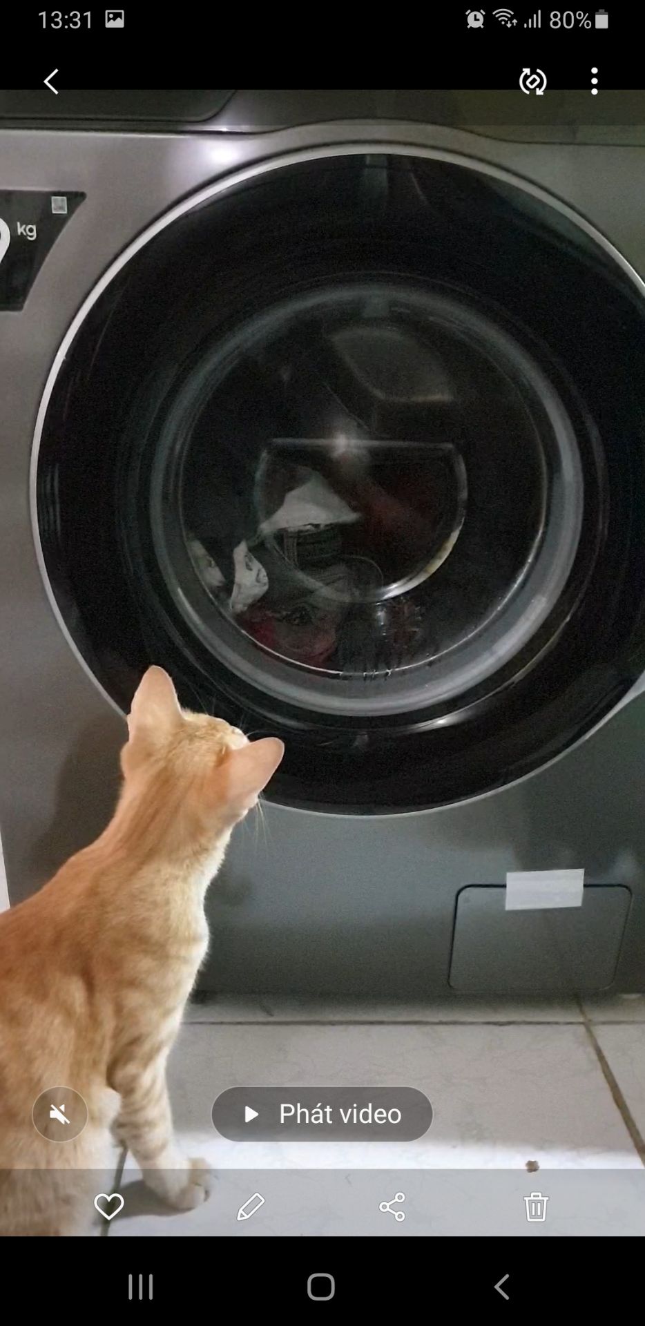 máy giặc sạch, ko bị kéo giãn đồ như cửa trên. có giặc nc nóng khử khuẩn cho đồ cần thiết. nhiều chế độ giặc. ko cần đế nếu không gian ko bị ướt phía dưới. giặc ko ồn. chỉ có ồn xíu lúc mới mở máy.