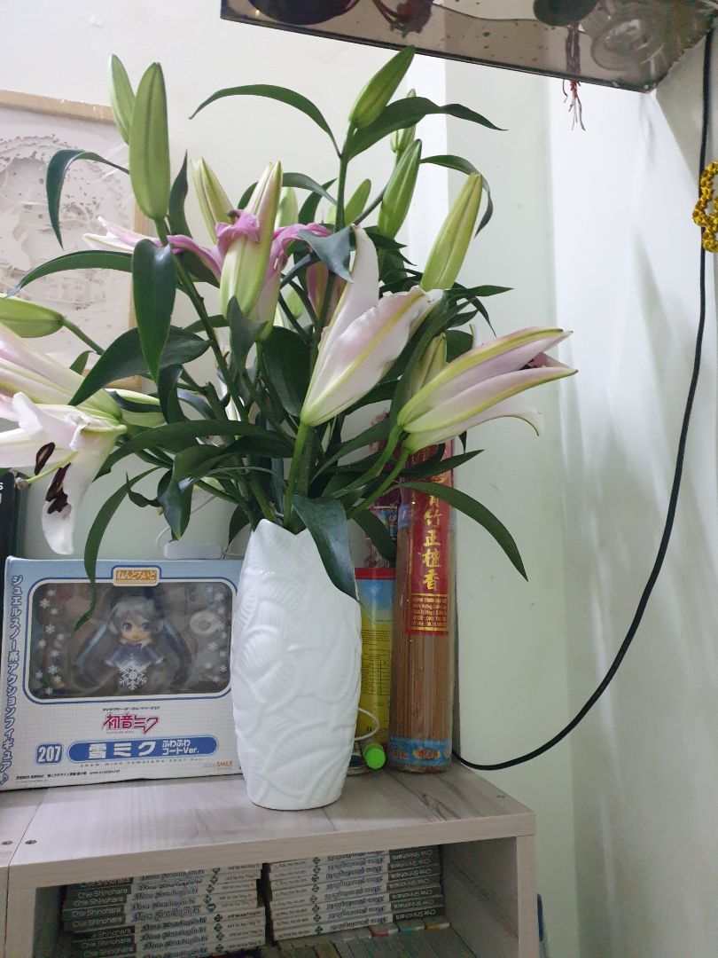 giao hàng nhanh , đóng gói ky lưỡng rất là cẩn thận , ko sứt mẻ miếng nào.
bình yoa rất là xinh , chất lượng tốt