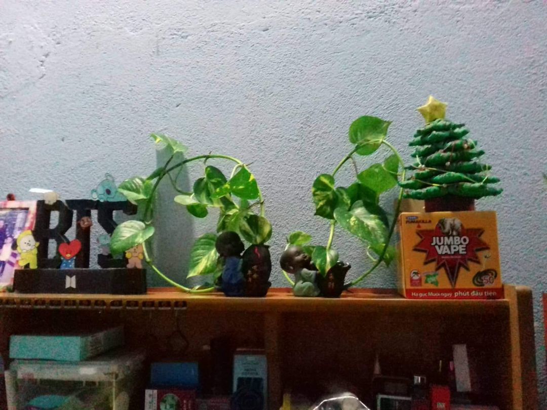 màu nhìn xấu hơn trong hình , tượng đẹp , giao hơi lâu chắc do xa màu nhìn xấu hơn trong hình , tượng đẹp , giao hơi lâu chắc do xa