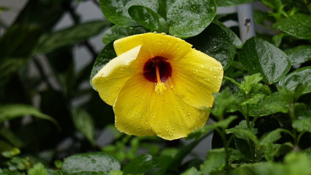 Sách mỏng hơn so với suy nghĩ. Chưa đọc nên chưa có nhận xét