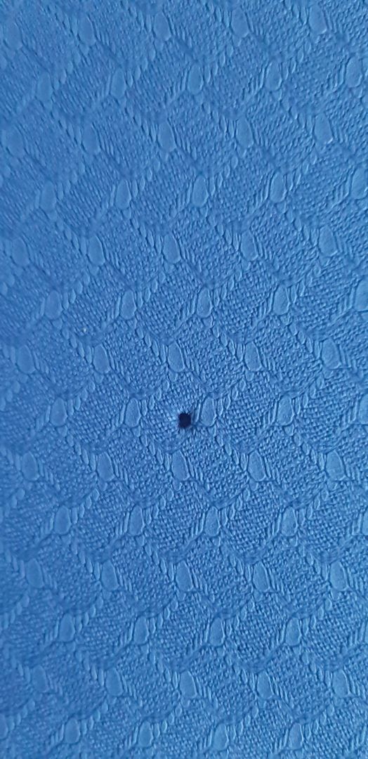 Thảm bị lỗi rất nhiều, lủng bề mặt như hình. Tiki có thể đổi hàng cho mình được không ạ?