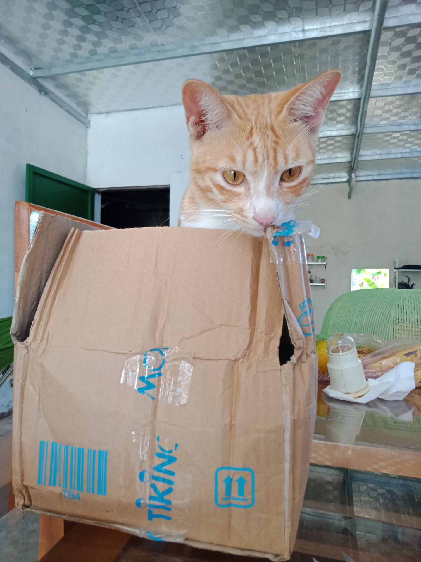 ncl hài lòng, giao hàng nhanh nhưng đóng gói k cẩn thận lắm. Trước mình ở HN thì đặt sách của tiki chả phải bàn cãi gì nhưng giờ đang dịch nên mình ship về quê thì có hơi móp méo 1 chút, lúc nhận hàng hết hồn vì hộp méo mó. may mắn thay là sách chỉ bị quăn tí xíu, vuốt lại là ok ngay như ban đầu. Mình mua 4 quyển hết 150k. Vẫn tiếc vì chưa săn dc hết 😢