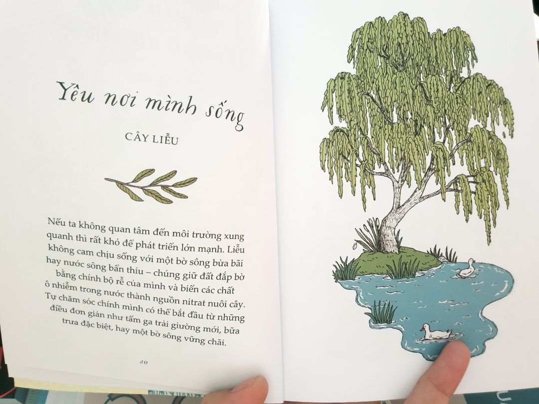 Sách này là sách dịch nên hẳn là có nhiều loại cây không có ở Việt Nam nên khó để mình hiểu đc tập quán của nó.
Mình thích đọc những mẩu ngắn ngắn có hình ảnh đi kèm như này :D.
Thực ra thì sách nêu những quan điểm, những cách sống nên có, rồi dùng 1 cái cây để liên hệ qua. Mình đọc thì chưa có sự thấm lắm (như mình nói phía trên là ko hiểu tập tính của cây) như câu chuyện cây tre nuôi dưỡng rễ.
Tuy nhiên, đọc để refresh bản thân, để có những định hướng đúng đắn, những chỉnh đốn lối sống kịp thời thì cũng tốt mà.
Mình cũng dùng quyển này đọc cho con nghe (bé lên 4 tuổi), vừa biết thêm các loại cây, vừa biết cách sinh tồn của cây và vừa học thêm được các khái niệm, định hướng sống.