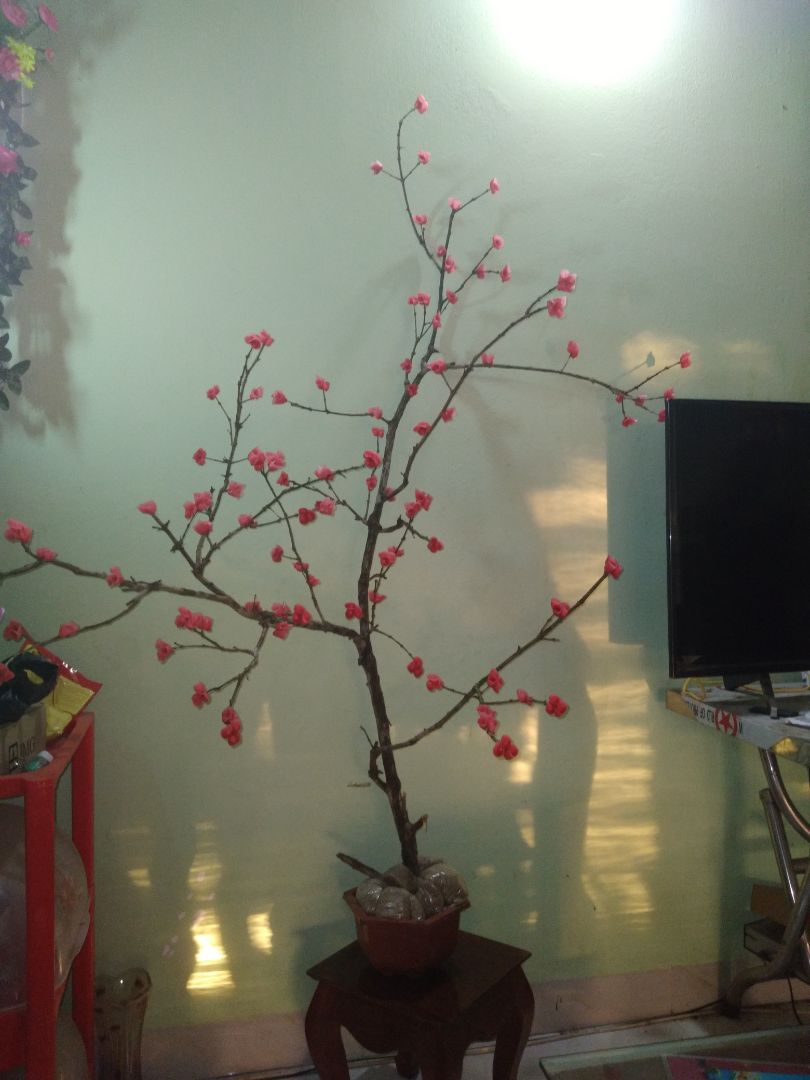 *Theo mình thì cho 5 sao . Cùng với tiêu chuẩn 3 không:
- không bị lỗi 
- không sợ lộn hàng
- không lo hàng bị hư hỏng.
*hàng tốt nha, giao hàng nhanh có tikinow.
*Cận kề ngày Tết rồi , mình chúc mọi người cũng như tiki sẽ ngày càng,ngày càng luôn luôn phát triển cho năm 2021 sắp tới.Ai đã lập gia đình thì sẽ luôn hạnh phúc, còn ai chưa lập gia đình thì tìm người yêu đi nha???