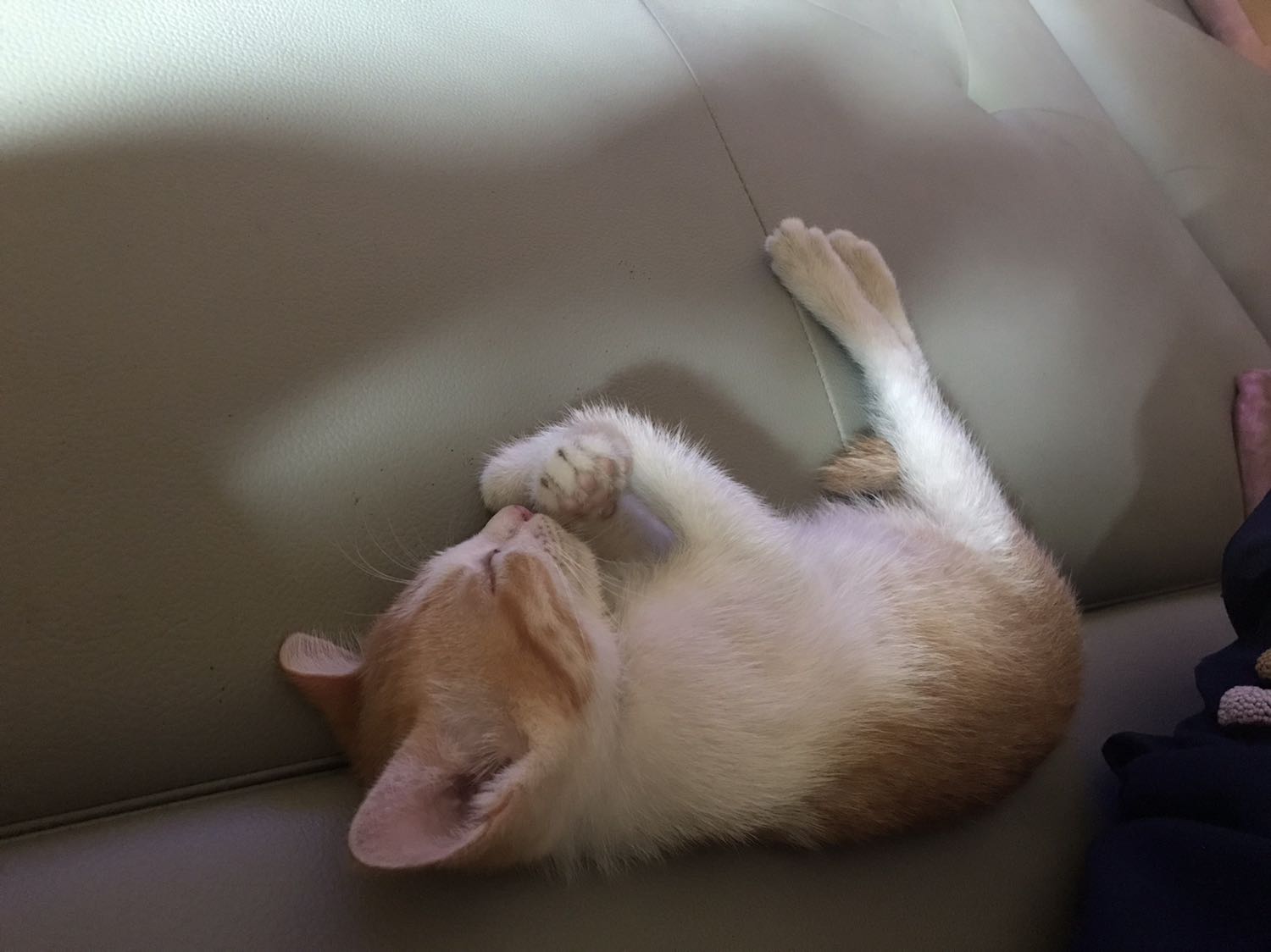 Binh thuong ko tot lam 🙅‍♂️😥