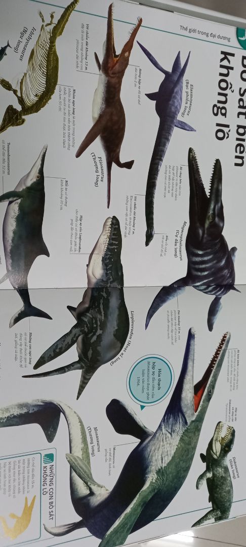 rất là đa dạng khủng long luôn, hình ảnh minh họa chân thực, sống động, phân chia từng thời kì cực kì khoa học, giống loài vô cùng đa dạng, đúng là sách dịch từ nước ngoài có khác.