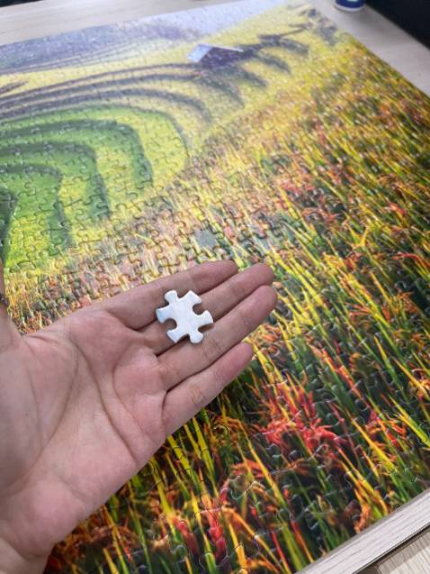 Tranh đẹp, xếp xong còn thừa 1 miếng, shop có thiếu tranh nào thì mình cho lại nha :))))