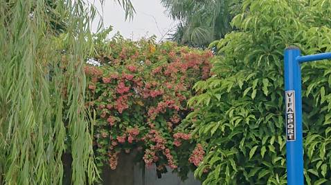 Tốt, như hình hàng giao rất nhanh đóng gói cẩn thận