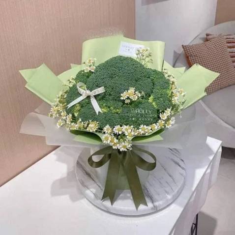 Shop giao hàng nhanh, gối mềm, êm ái tốt cho sức khỏe 💪💪💪💪💪💪💪💪💪💪💪💪💪💪💪💪💪💪💪💪💪💪💪💪💪💪💪💪💪💪💪💪💪