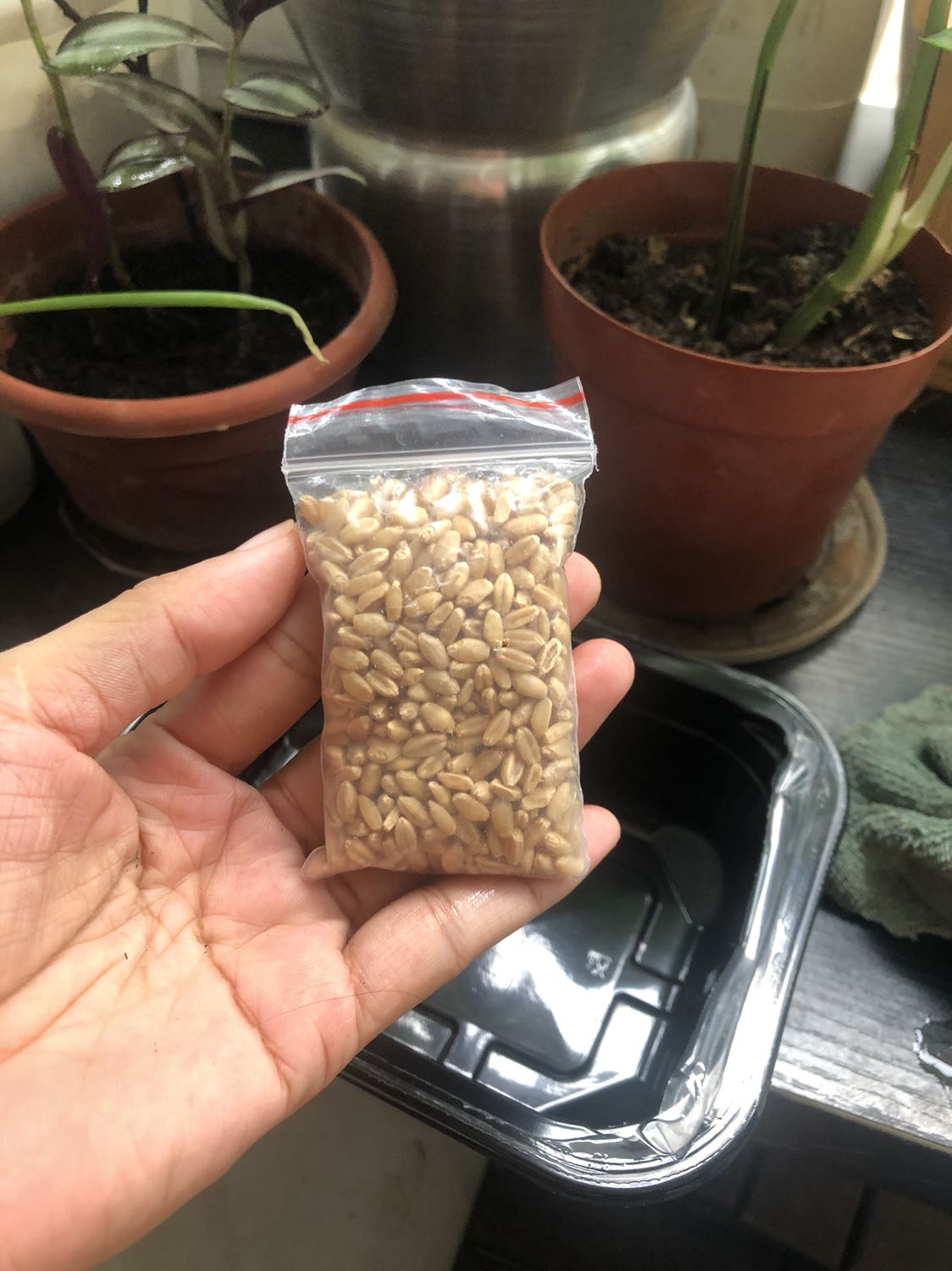 Gói hơi bé, giao gàng nhanh đóng gói cẩn thận