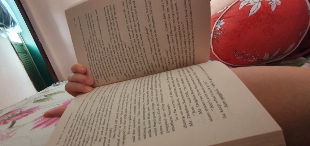 Giao hàng nhanh, sách nhẹ, bìa mềm
Văn học cổ điển nên ngôn ngữ cũng khá khó đọc đó các bạn, không chỉ phép ẩn dụ mà còn tiếng lóng, từ cổ, từ mới nhiều đấy.