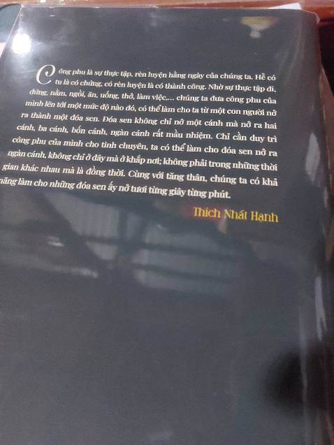 Tui quyển này vì có Chú giải Kinh Quán Niệm Hơi Thở, đó Sư Ông giảng. Nếu tu thiền sẽ hữu ích cho bạn!