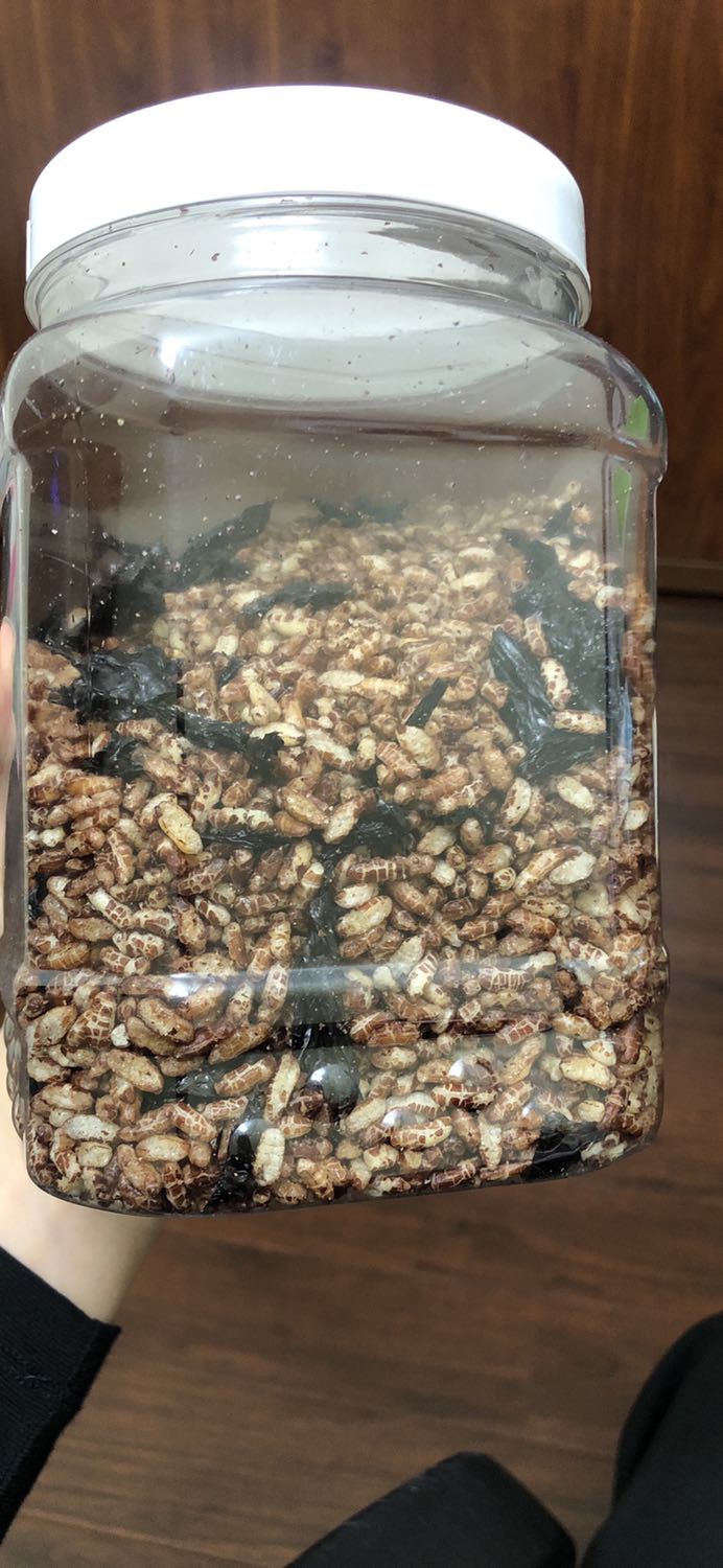 Hàng giao nhanh hôm trước đặt hôm sau đã có rồi
Gạo giòn thơm, Rong biển miếng to quá mình ko thích lắm