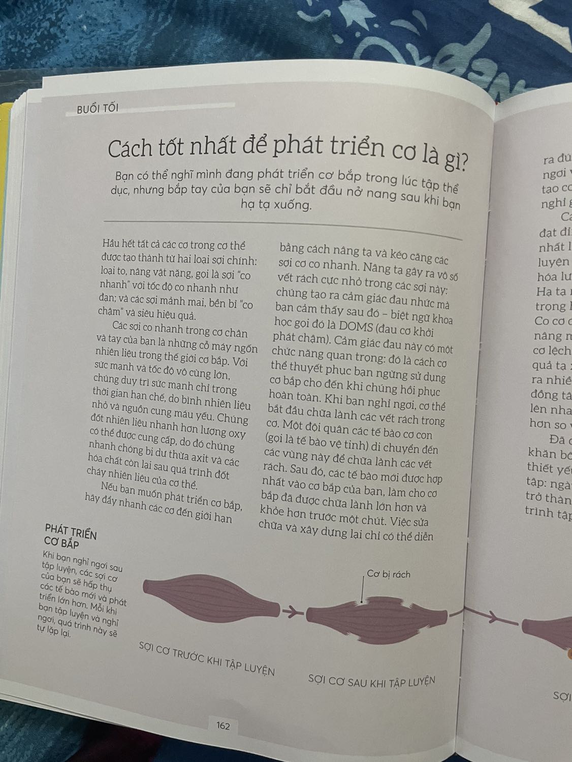 Chữ in không đậm nên khó đọc, giấy màu đẹp nên chữ nhạt so vs giấy màu