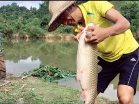 Shop nhiệt tình và biết thông cảm cho khách hàng đồ câu chất lượng