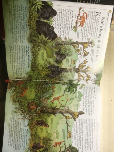 Sách đẹp lắm ạaaa, chất giấy rất dày, các bức tranh đầy màu sắc nhìn thích cả mắt hiuhiu. Tiki giao cho mình rất nhanh luôn ý phải nói là bất ngờ, bao năm nay mua hàng Tiki biết là nhanh nhưng mà lần này mình đặt 8h tối hôm trước đến 8h sáng hôm sau nhận được lun. Gói hàng kĩ qua nhiều lớp giấy, sách nhận mới tinh. Rất hài lòng với bé bách khoa này 😍😍