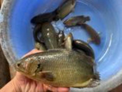 Chưa sử dụng nên chưa biết poiuytrewqsafhklmbvcz