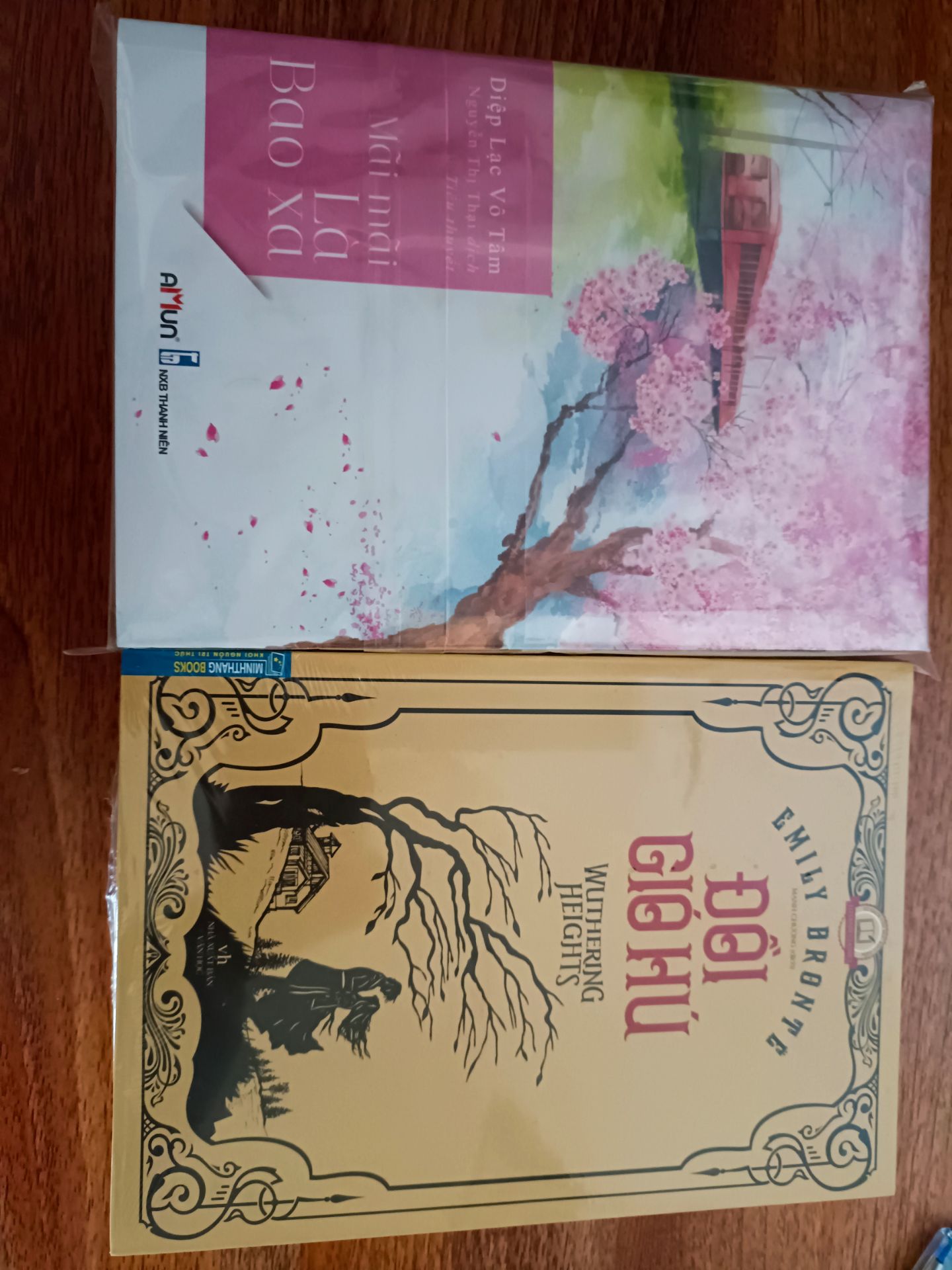 Mặc dù chưa đọc qua chỉ xem nhận xét thì thấy sách được bán chạy trên khắp nước Trung Quốc và lấn sang Việt Nam, đây là tác phẩm của Diệp Lạc Vô Tâm mọi người ủng hộ nhé!!!! Thanks for watching!!!!