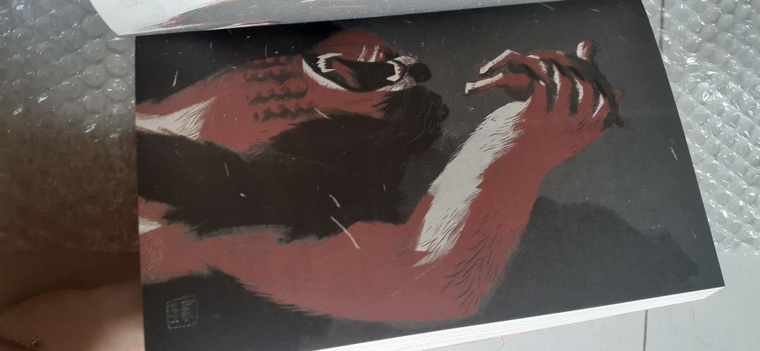 tình tiết nhiều, nối với nhau mạch lạc nên đọc khá cuốn. sách không có lớp bọc sách bên ngoài nhưng đc bọc chống sốc nên cũng đỡ bị móp phần gáy. phần hình trong sách in khá rõ nét, lên màu xịn