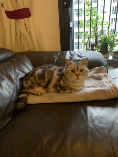 Rất tốt, một phụ kiện nên có cho dân diy