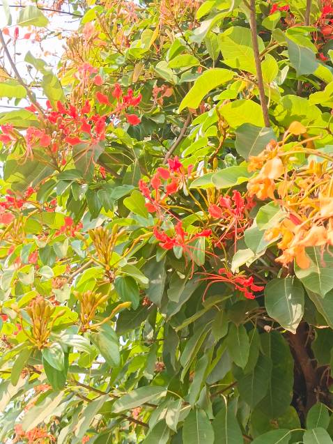 Cũng được nhưng hơi khó Sài chắc tại không biết Sài đúng sản phẩm đã đặc giao hàng cũng nhanh