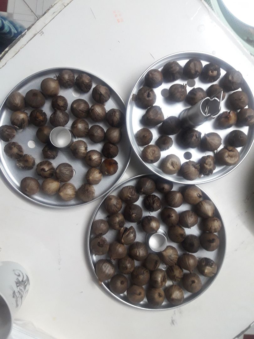 mới làm mẻ đầu tiên, rất thích, vì sau 15 ngày chờ đợi mẻ tỏi rất ngon, đang tiếp tục ủ mẻ tiếp theo