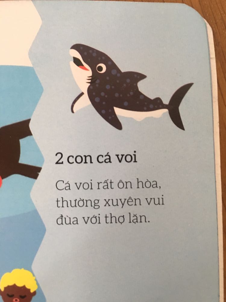 Hình ảnh đẹp, tuy nhiên biên soạn chưa thật sự cẩn thận. Hình cá mập mà chú thích cá voi