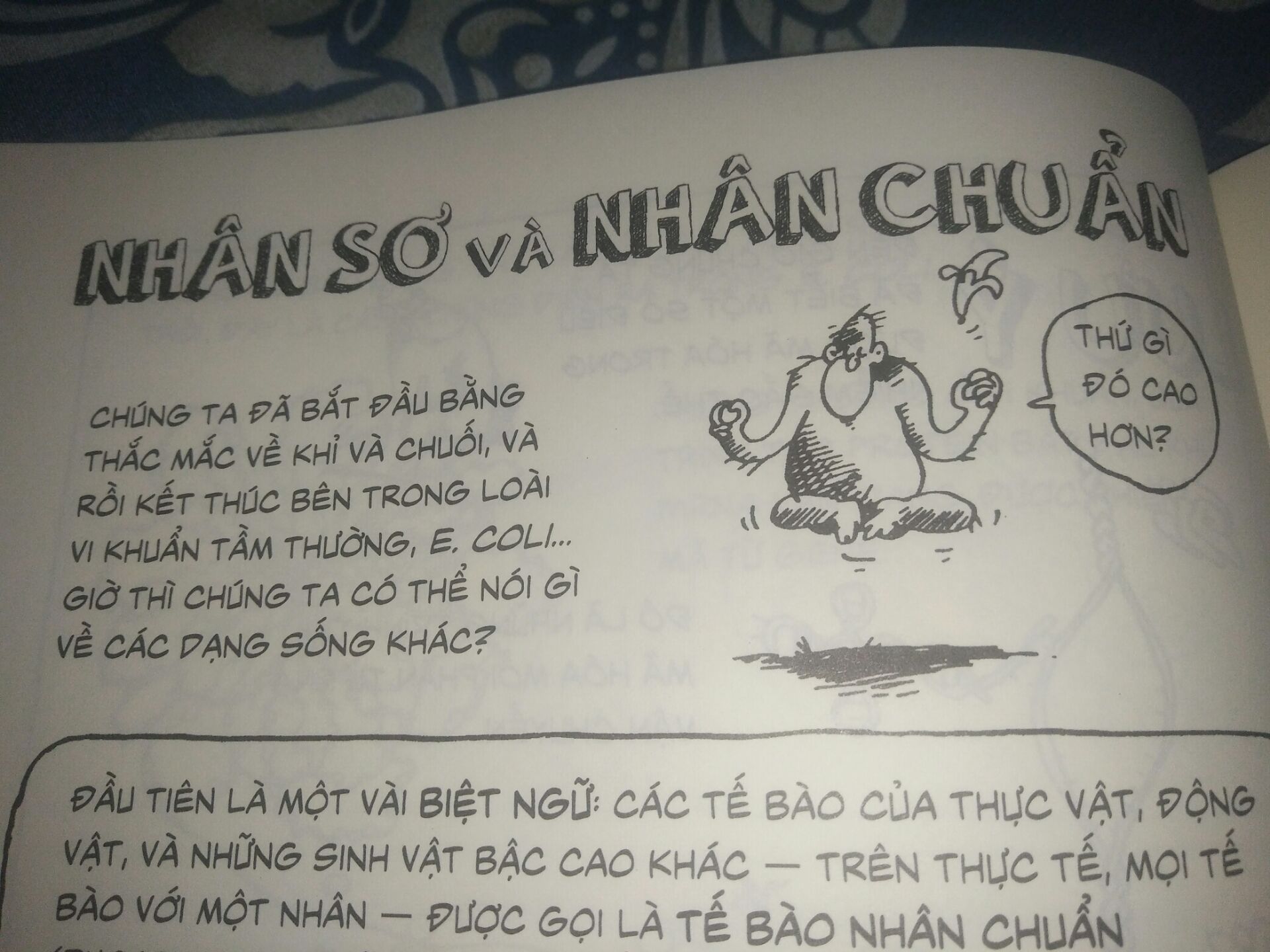 Nhìn bề ngoài thì sách mới, không bị hư hỏng gì. Còn về nội dung thì sách kể về quá trình tìm ra sự di truyền, nội dung cơ bản của di truyền học. Hơn nữa sách còn có nhiều hình ảnh minh họa thú vị, dễ hiểu.Tuy nhiên, có một số phần người dịch dịch không sát với chương trình Sinh học của sgk. 
VD như là trong sgk ghi là ''Nhân tố di truyền'' thì sách này ghi là '' Nguyên tử kế thừa'', ''nhân thực'' thì ghi là ''nhân chuẩn''...
Tuy nhiên vì đây là tài liệu nước ngoài nên có thể hiểu được, dịch như vậy cũng là quá tốt rồi. Cuối cùng, mình xin gửi lời cảm ơn đến Tiki và các tác giả của cuốn sách vì đã đem đến 1 sản phẩm tuyệt vời. Cảm ơn rất nhiều ạ!