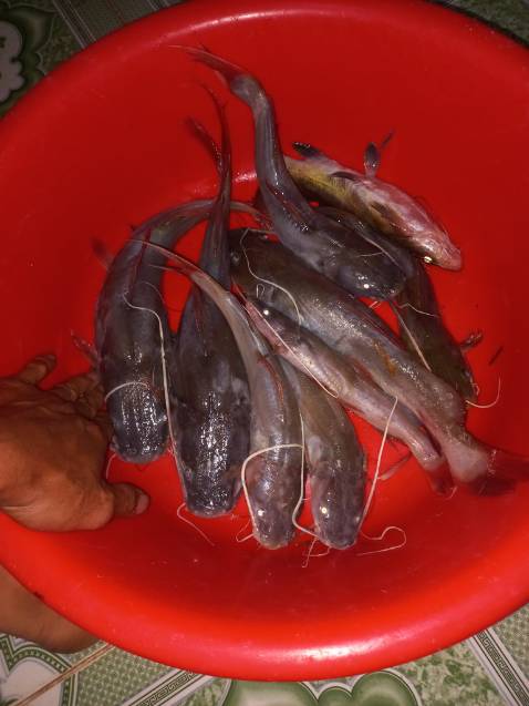 Giao hàng nhanh hình ảnh không liên quan tới sản phẩm nha ạ