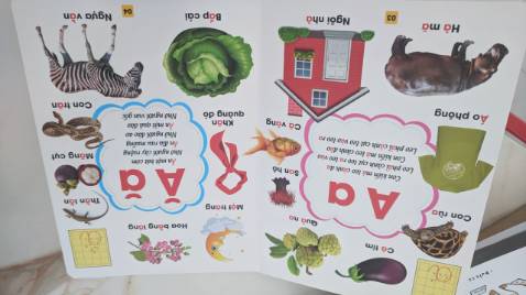 Sách rất đẹp nhé.