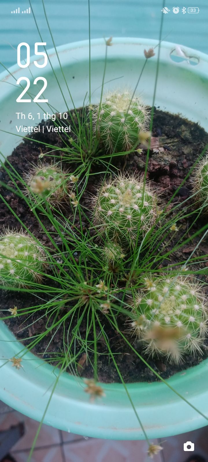 hàng đẹp, giá tốt, giao hàng nhanh, bé nhà mình rất thích