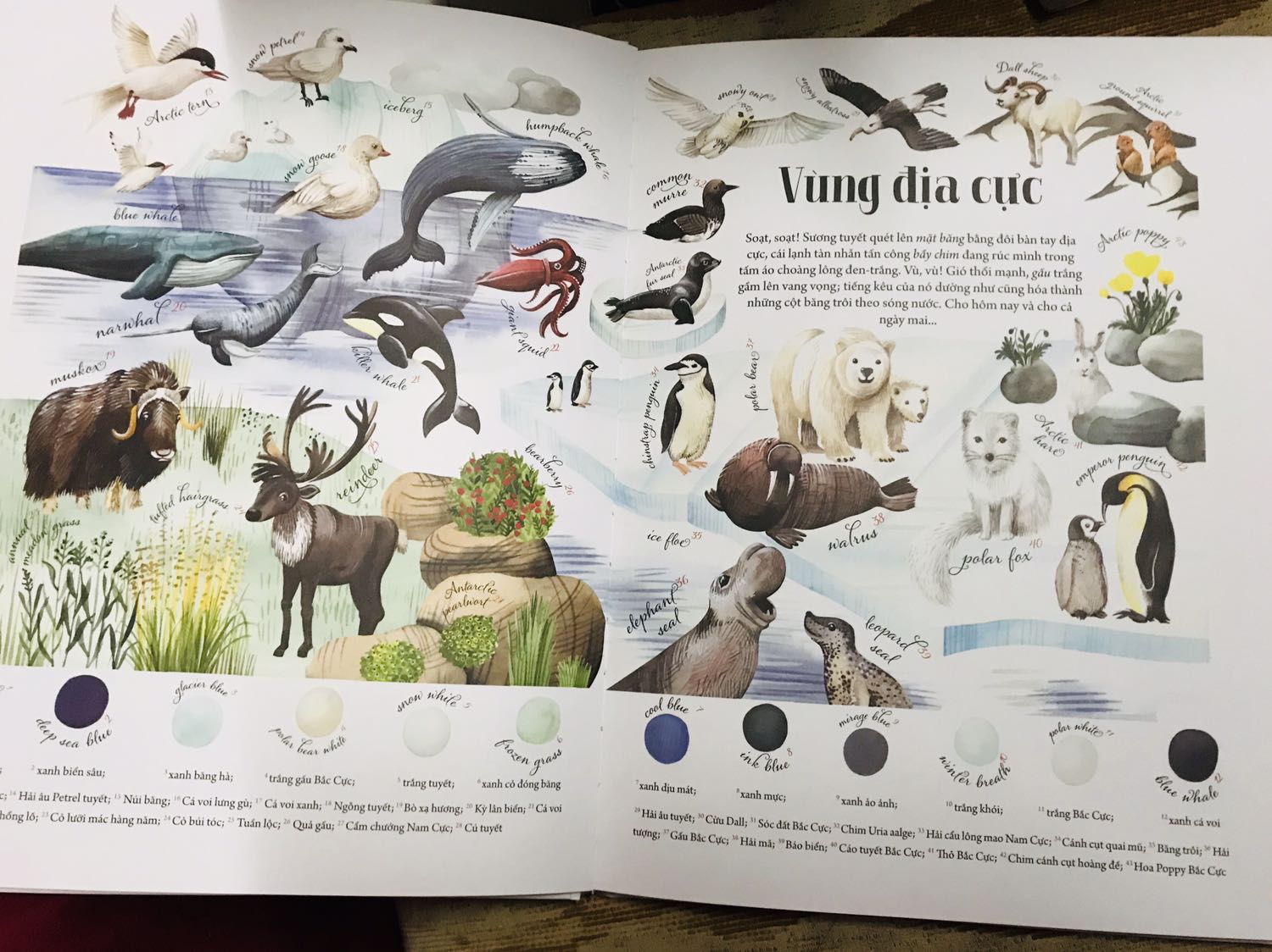 Huy Hoàng âm thầm ra cuốn sách đẹp và chất quá đi mất. Không nhiều chữ nhưng đọc cũng nhiều thơif gian do sẽ thích khám phá từng chữ từng hình vẽ. Một cuốn sách tuyệt vời để nuôi dưỡng tình yêu với vạn vật.