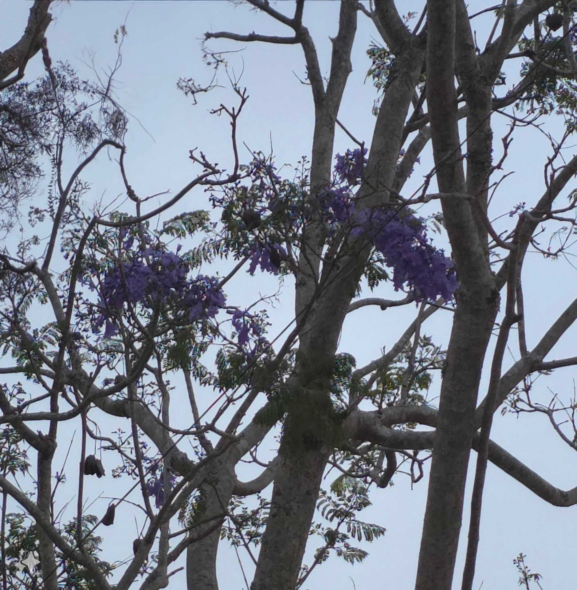 Hàng OK. Hình ảnh mang tính chất minh họa.