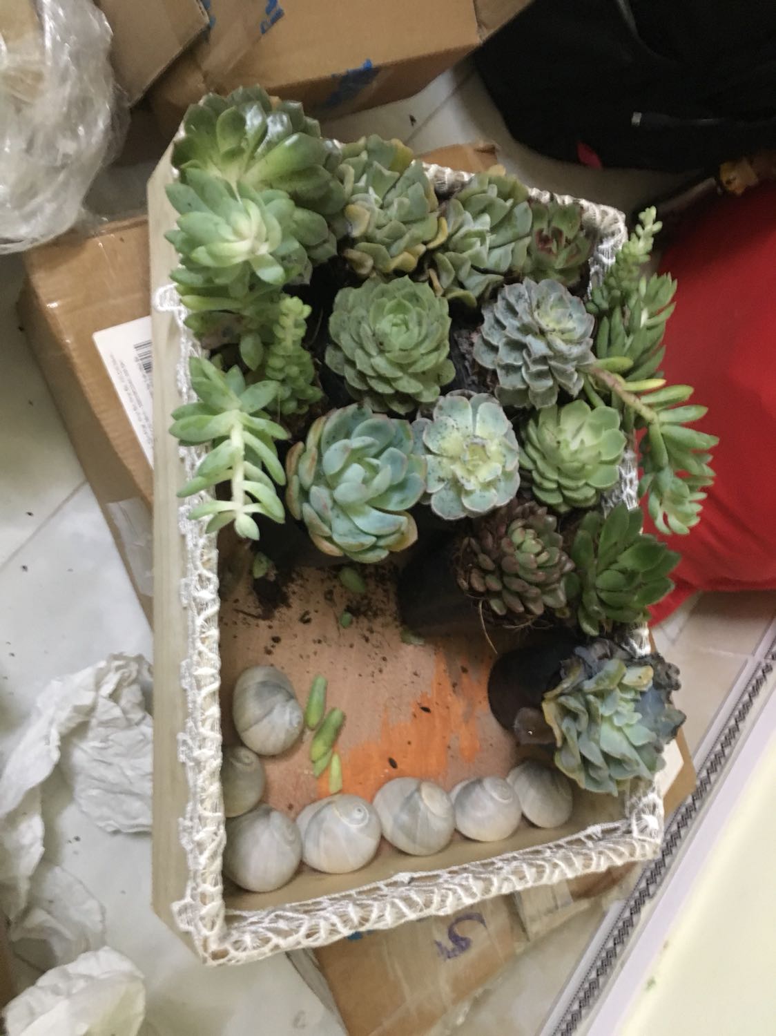 Giao hàng nhanh. Chất lượng. Ổ điện Rạng Đông chất lượng