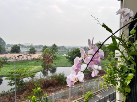 Ok. Rất hài lòng sản phẩm Ok. Rất hài lòng sản phẩm