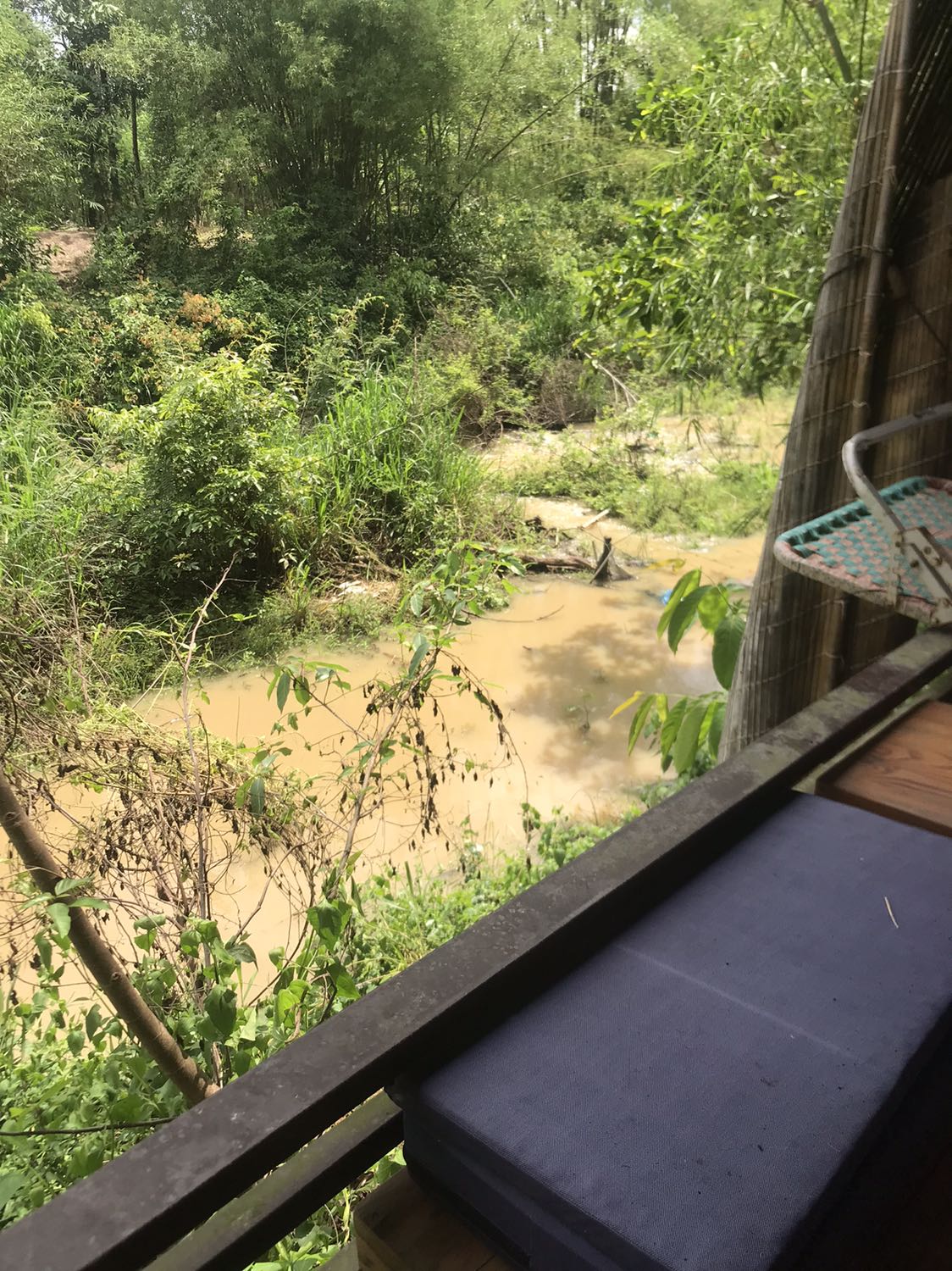 Giao hàng nhanh và chính xác