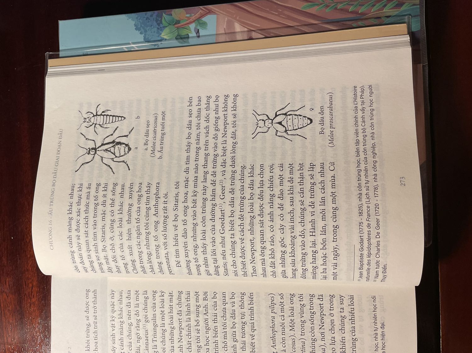 Sách hay, munh hoạ đẹp.
Tuy nhiên phù hợp với tẻ 9, 10 tuổi trở lên do dài.