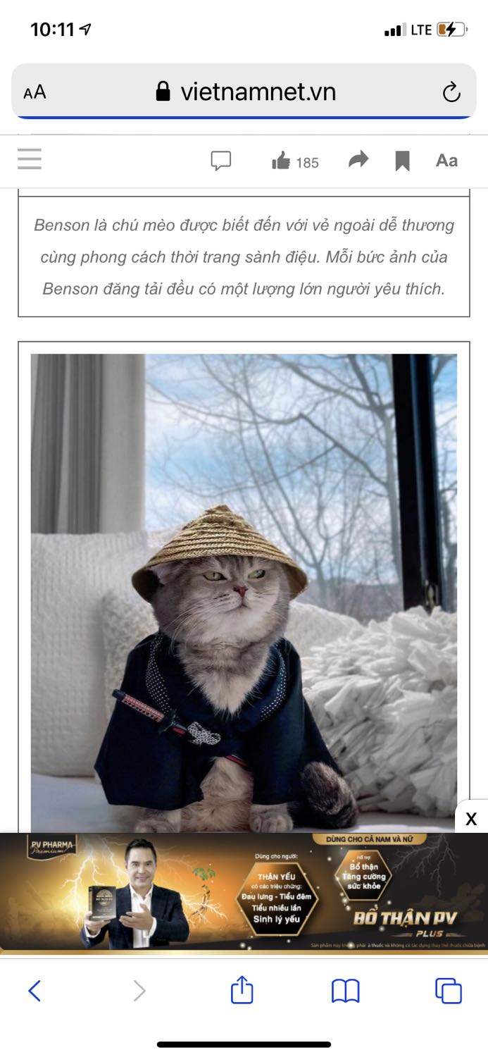 Thấm tốt, không nhờn rít