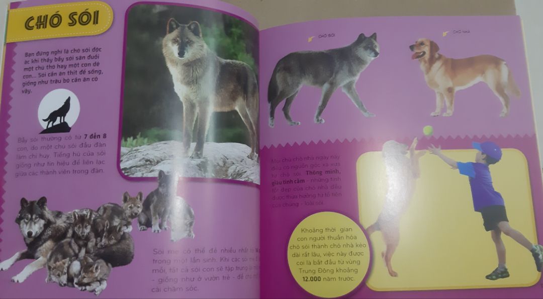 tiki giao sách nhanh, đóng gói cẩn thận, giảm còn 28 ngàn. sách in đẹp nội dung đa dạng về các động vật hoang dã.