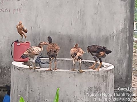 Thiết kế nhỏ gọn