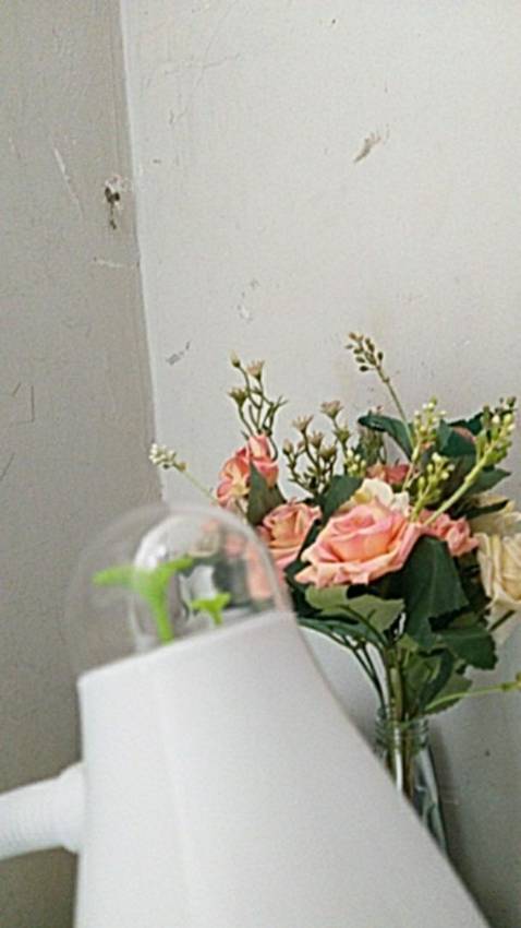 Hình thức đẹp dễ thương, sáng dễ chịu