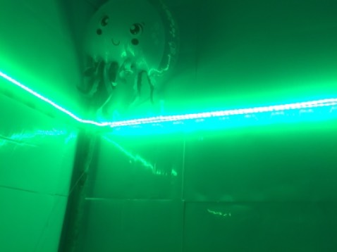 Sáng decor phòng là ngon luôn