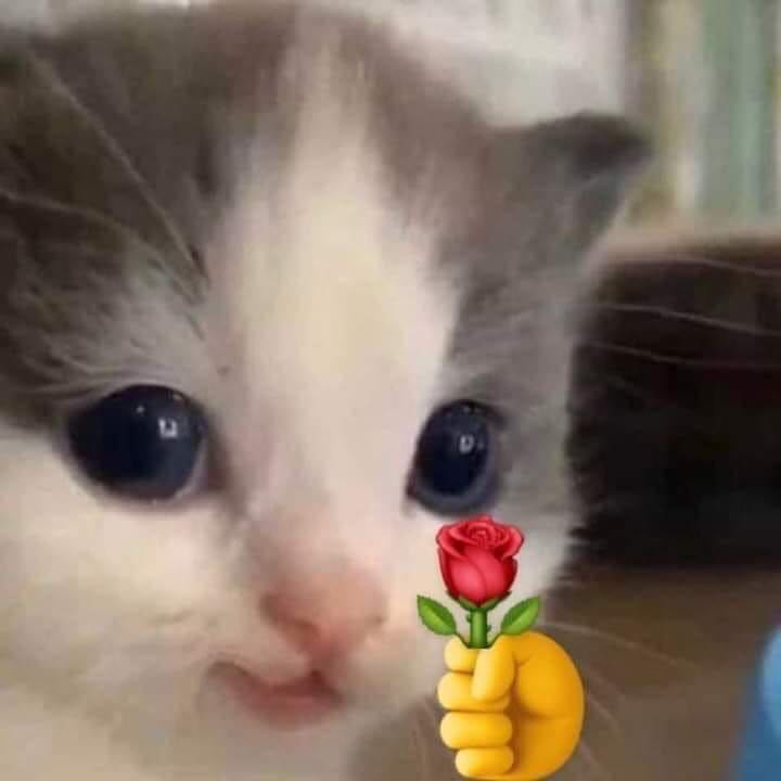 Sản phẩm rất tốt, mỗi tội giấy hơi có mùi nhưng không sao,không quan trọng lắm