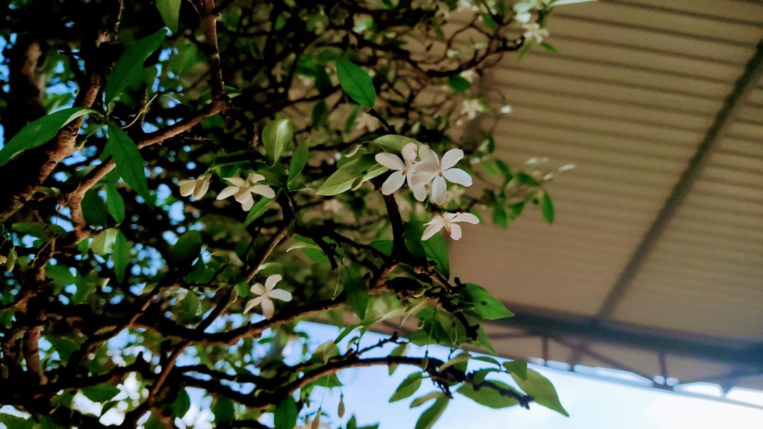 hàng đóng gói cẩn thận và chất lượng . sẽ còn ủng hộ