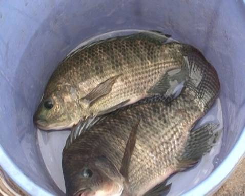 OK xhzchhyxfdđudhdagxhsgxysgd ác hstaystayd ác Sỹ hả xýdd