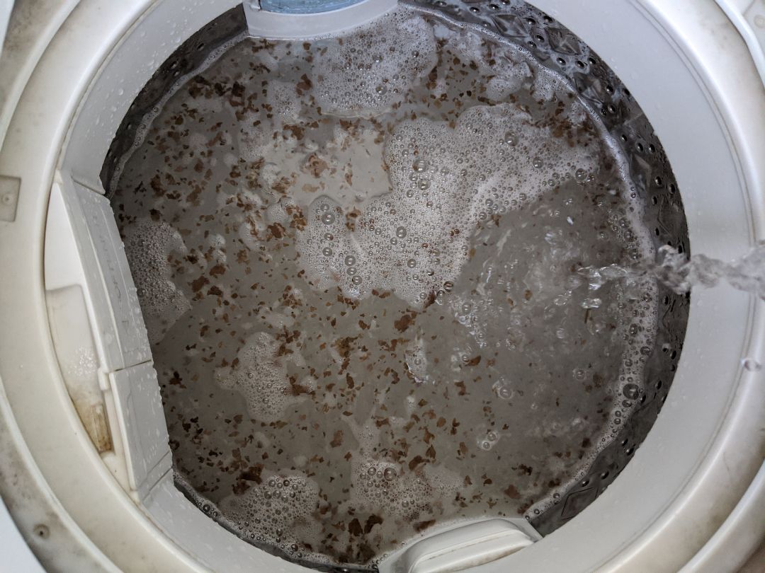 cho 10 sao luôn , vs xong máy giặt sạch sẽ hơn hẳn, đi hết các mảng rêu bám