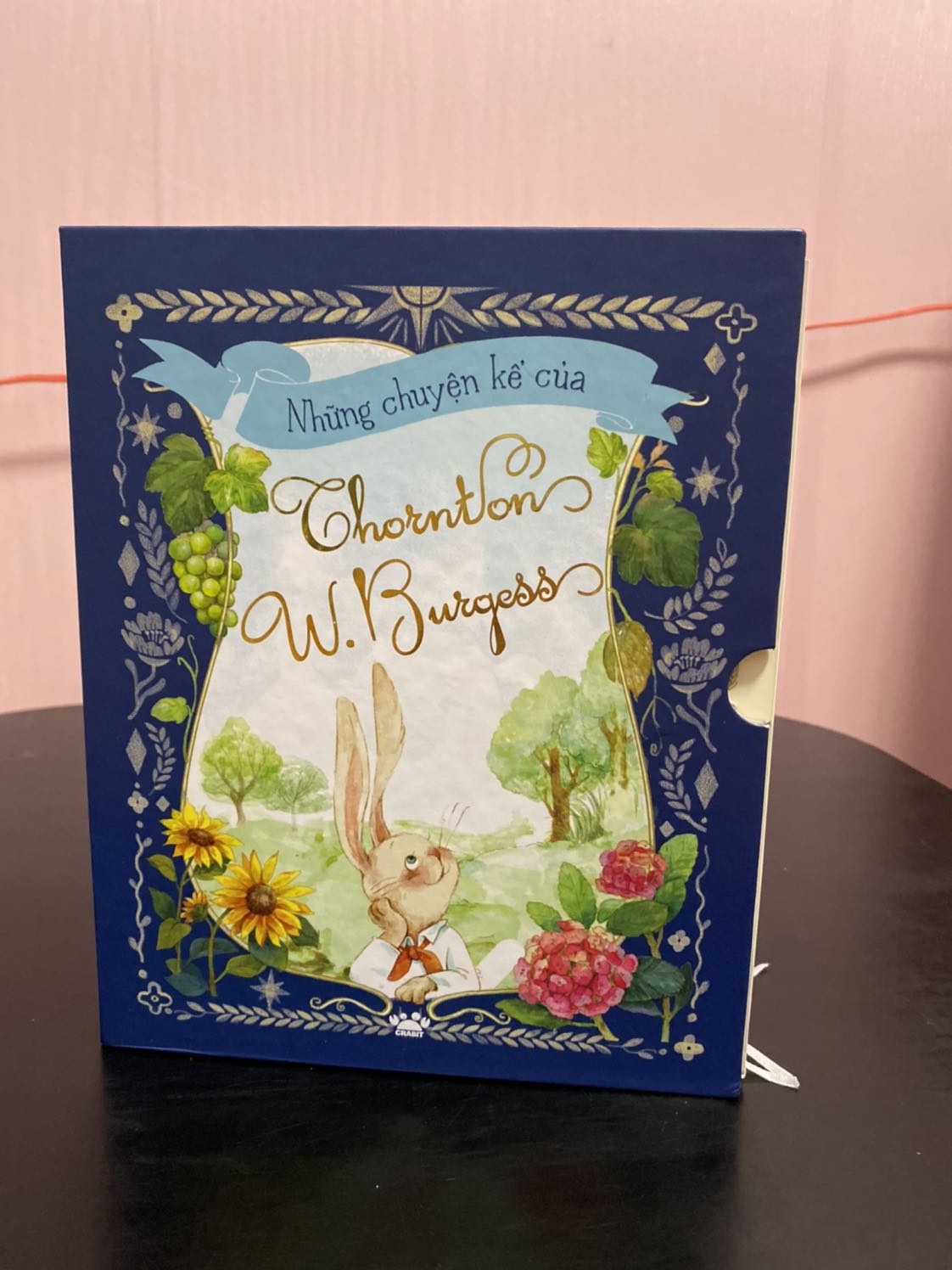 Bộ sách được đóng gói rất đẹp, hộp cứng dễ cất giữ. Mỗi quyển sách đều là bìa cứng, các trang sách in rất đẹp, font chữ rất đẹp. Nội dung hay.
Rất đáng tiền nha