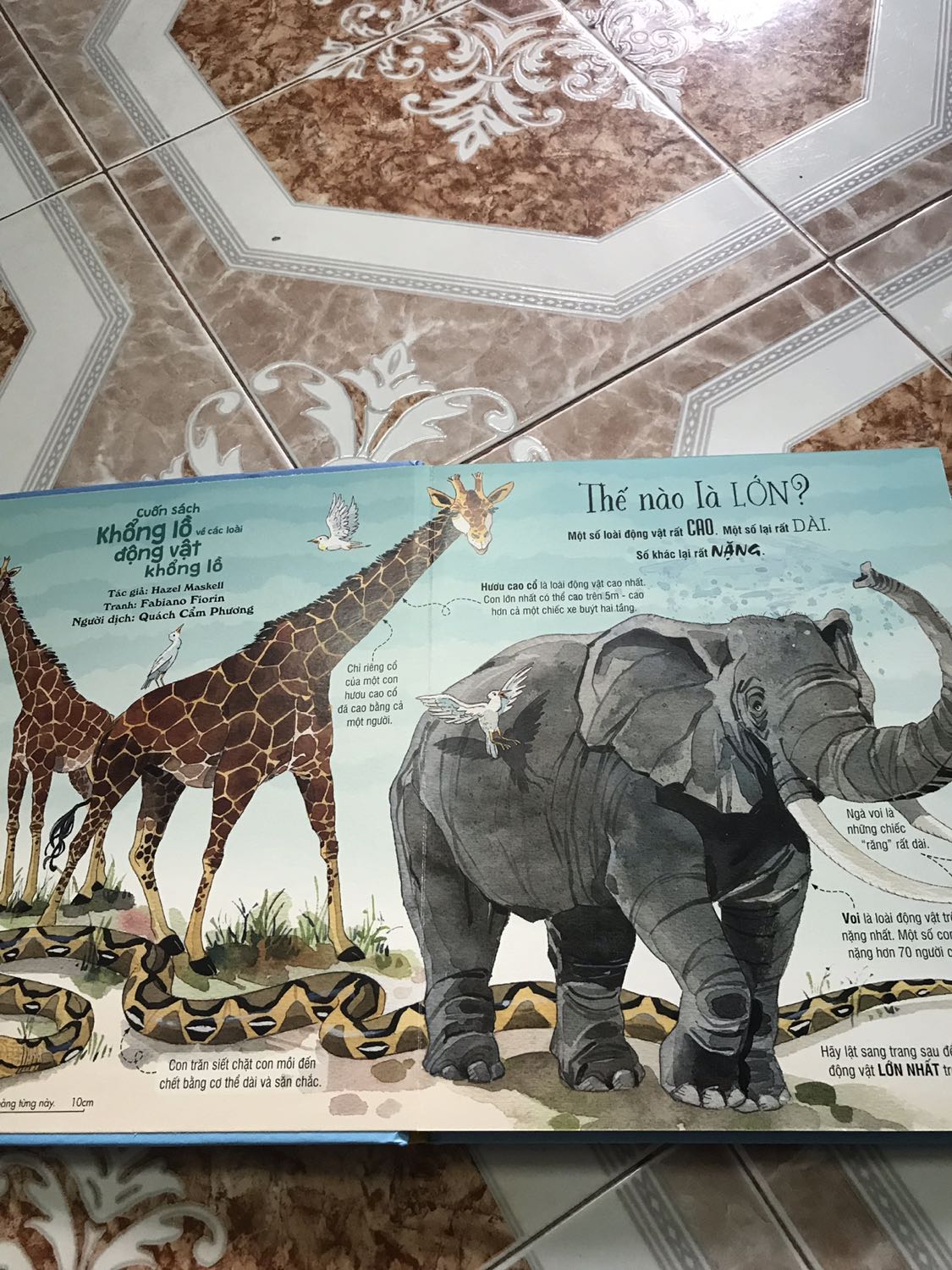 Con mình 4 tuổi rưỡi và cháu rất thích đọc sách của Đinh Tị ! Đặt 2 cuốn , 1 về động vật và 1 về những chiếc xe tải ! Nhưng chỉ còn cuốn động vật ! 
Tổng quát : Thông tin hữu ích nhiều ! Hình vẽ đẹp ! 
Nhưng : vì là hình vẽ nên các bạn nhỏ sẽ ko thể hình dung được dung mạo thật của các con vật ! Một số con bé nhìn ko ra mặc dù bé đã từng xem ! Vì quá nhiều hình ảnh nên sẽ làm các bé nhỏ cảm thấy hơi rối và nhìn bao quát ko hết được ! Con mình 4 tuổi rưỡi và cháu rất thích đọc sách của Đinh Tị ! Đặt 2 cuốn , 1 về động vật và 1 về những chiếc xe tải ! Nhưng chỉ còn cuốn động vật ! 
Tổng quát : Thông tin hữu ích nhiều ! Hình vẽ đẹp ! 
Nhưng : vì là hình vẽ nên các bạn nhỏ sẽ ko thể hình dung được dung mạo thật của các con vật ! Một số con bé nhìn ko ra mặc dù bé đã từng xem ! Vì quá nhiều hình ảnh nên sẽ làm các bé nhỏ cảm thấy hơi rối và nhìn bao quát ko hết được !