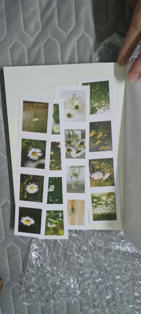 font chữ khi đọc cảm giác rất dễ chịu con mắt. có khá nhiều nội dung chữa lành mà mình cần hiện tại